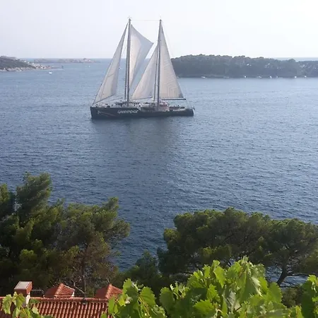 Lovro דוברובניק